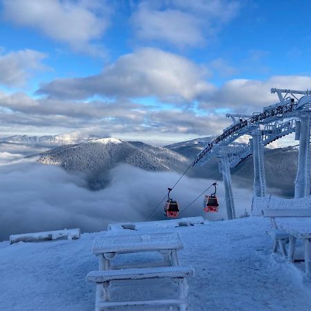Ski View Studio - Near The Ski Slopes Azuga Zewnętrze zdjęcie