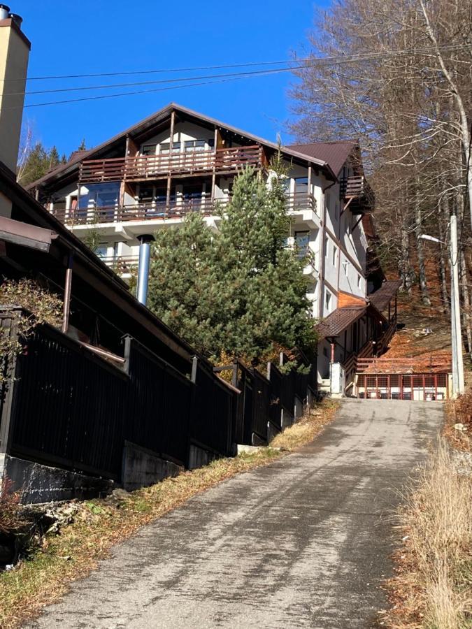 Ski View Studio - Near The Ski Slopes Azuga Zewnętrze zdjęcie