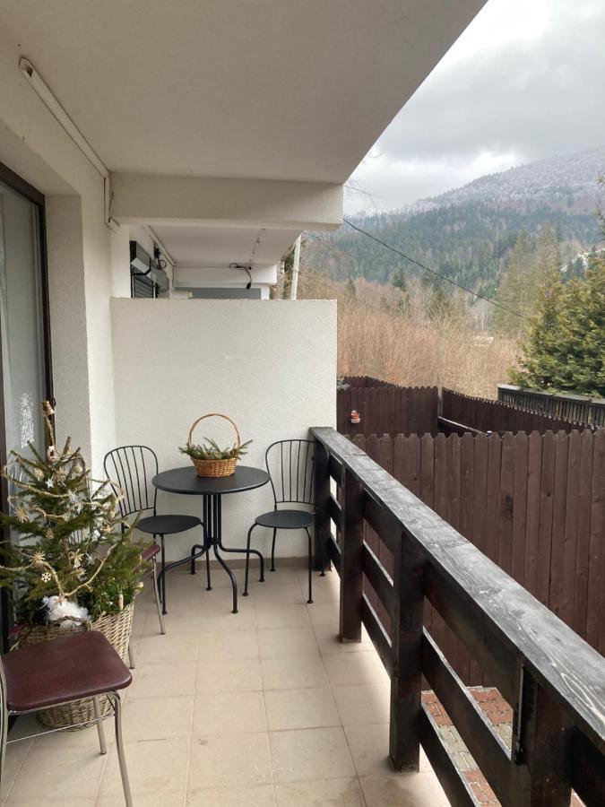 Ski View Studio - Near The Ski Slopes Azuga Zewnętrze zdjęcie